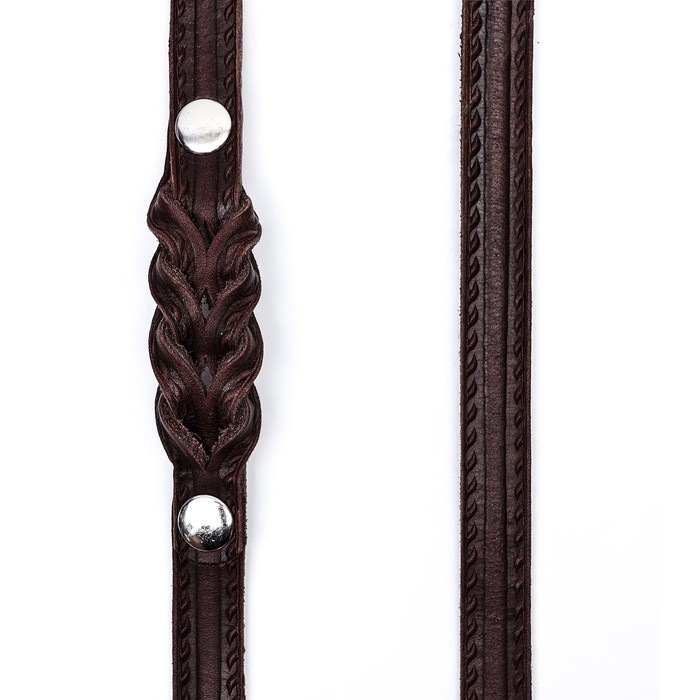 Поводок кожаный однослойный тиснёный, удлиненный, 2 м х 1,6 см коричневый Поводок кожаный однослойный тиснёный, удлиненный, 2 м х 1,6 см коричневый