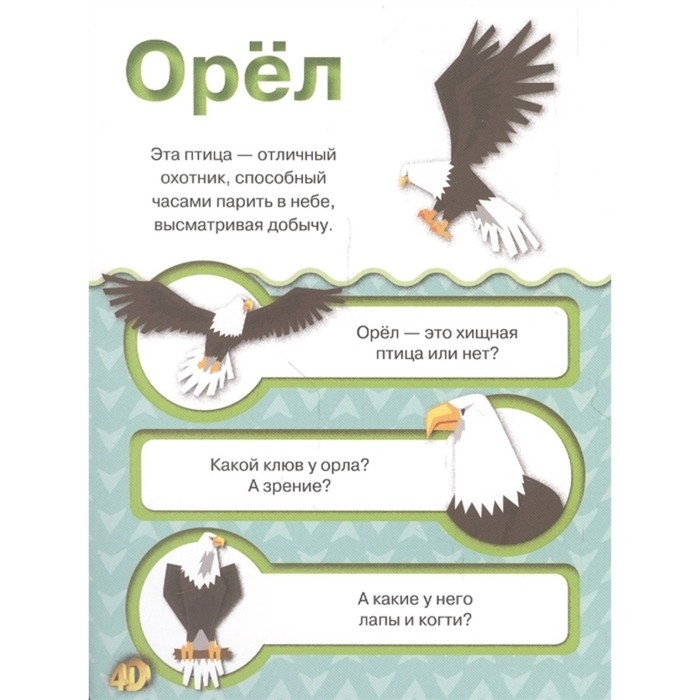 Карточки с дополненной реальностью &laquo;Животные 4D&raquo;