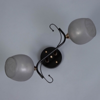 Люстра "Акапулько" 2х60Вт Е27 Коричневый, золото 48х28х24см Люстра "Акапулько" 2х60Вт Е27 Коричневый, золото 48х28х24см