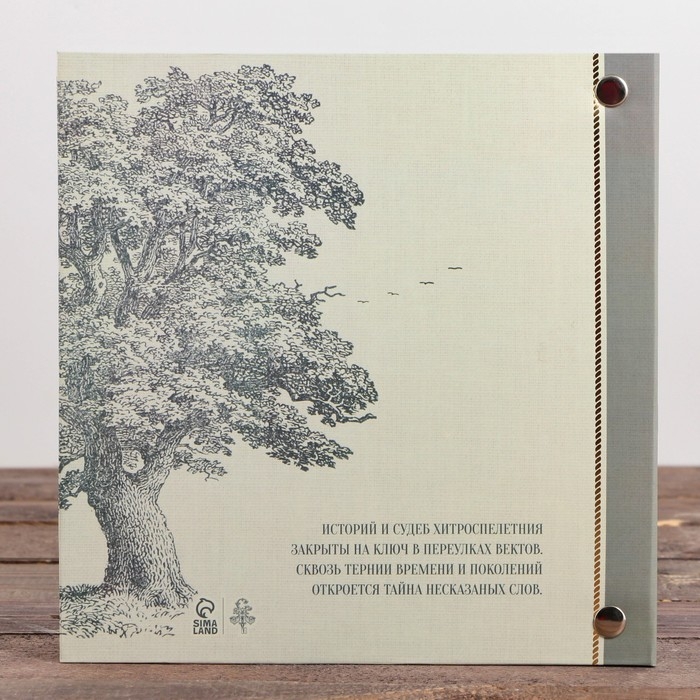 Родословная книга с рамкой под фото &laquo;Семейная&raquo;, 21,5 х 23,7 см.