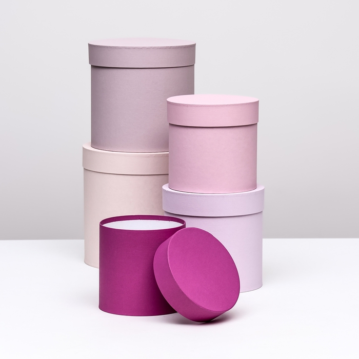 Набор круглых коробок 5 в 1 Набор круглых коробок 5 в 1 "Ягодный", 23 х 23 - 15 х 15 см