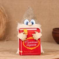 Домовой "Любимчик с книгой", 17х11х7 см