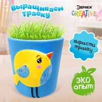 Набор для опытов &laquo;Выращиваем травку&raquo;, птичка