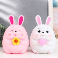 Копилка пластик "Зайчик - пухляш с сердцем/цветком" МИКС 16х15,5х23 см Копилка пластик "Зайчик - пухляш с сердцем/цветком" МИКС 16х15,5х23 см