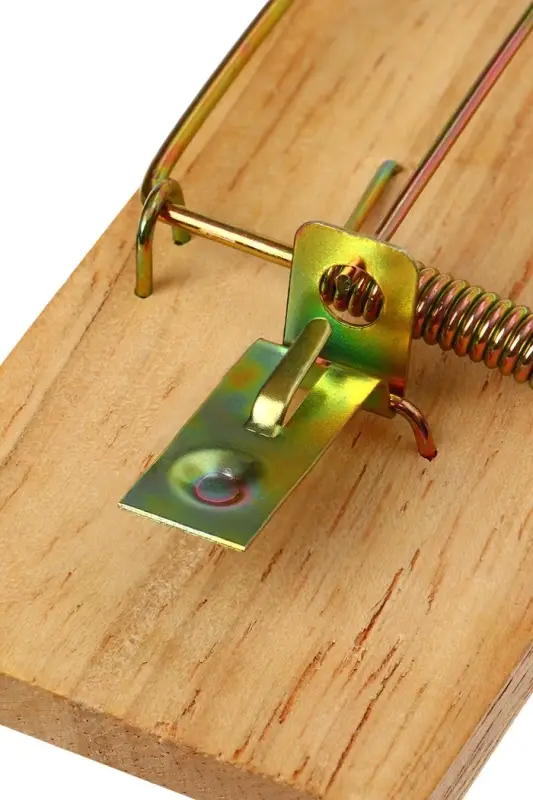 Мышеловка, 9.8&times;4.7 см, дерево, Greengo