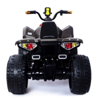 Электромобиль &laquo;Квадроцикл&raquo;, 2 мотора, цвет чёрный карбон