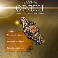 Зажим для кардигана &laquo;Орден&raquo;, цвет коричневый в чернёном золоте