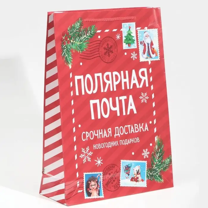 Пакет подарочный новогодний ламинированный &laquo;Полярная почта&raquo;, L 28 х 38 х 9 см
