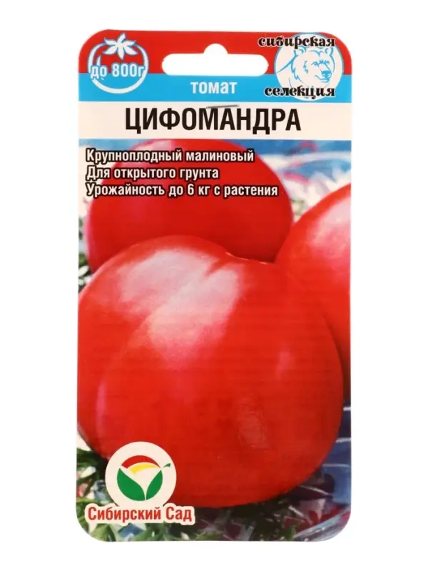 Семена Томат Цифомандра 20 шт.