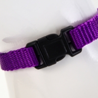 Комплект для кошек, ширина 1 см, ОШ 16,5-27 см, ОГ 21-35 см, поводок 120 см, фиолетовый