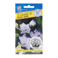 Семена цветов Эустома "Сапфир Блю Чип", F1, драже, 5шт Семена цветов Эустома "Сапфир Блю Чип", F1, драже, 5шт