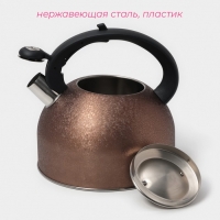 Чайник со свистком из нержавеющей стали Доляна Snow, 3 л, индукция, цвет золотой Чайник со свистком из нержавеющей стали Доляна Snow, 3 л, индукция, цвет золотой