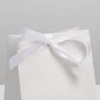 Пакет подарочный с лентой, упаковка, &laquo;Белый&raquo;, 13 х 19 х 9 см