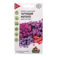 Семена цветов Обриета "Чарующий Марокко", ц/п,  0,05 г