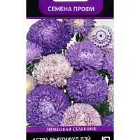 Семена цветов Астра Бьютифул Дэй Твайлайт Шейдес, 0,1гр