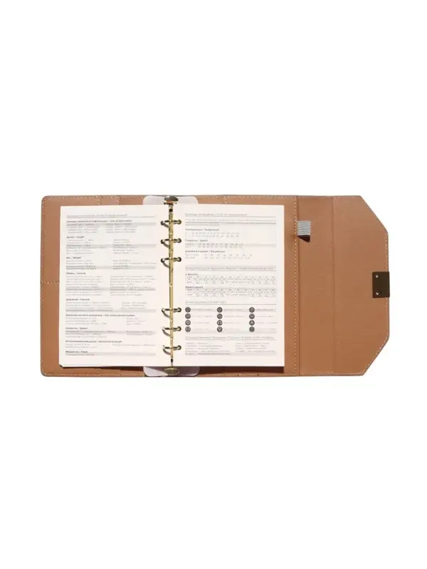 Органайзер на кольцах, C6, с клапаном, 80л, линия, к/зам, Зеленый