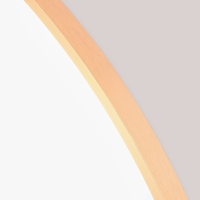 Зеркало "Бронза", настенное, 100 &times; 3 см