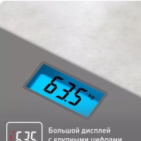 Напольные весы Classic PP1500V0, серые