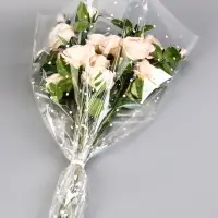 Пакет цветочный Конус, горох, 52/80