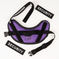 Шлейка К9 мягкая светоотражающая, размер ХS, ОГ 38-50 см, вес 3-6 кг, фиолетовая Шлейка К9 мягкая светоотражающая, размер ХS, ОГ 38-50 см, вес 3-6 кг, фиолетовая