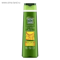 Шампунь Чистая линия &laquo;Фитобаня&raquo;, для всех типов волос, 400 мл