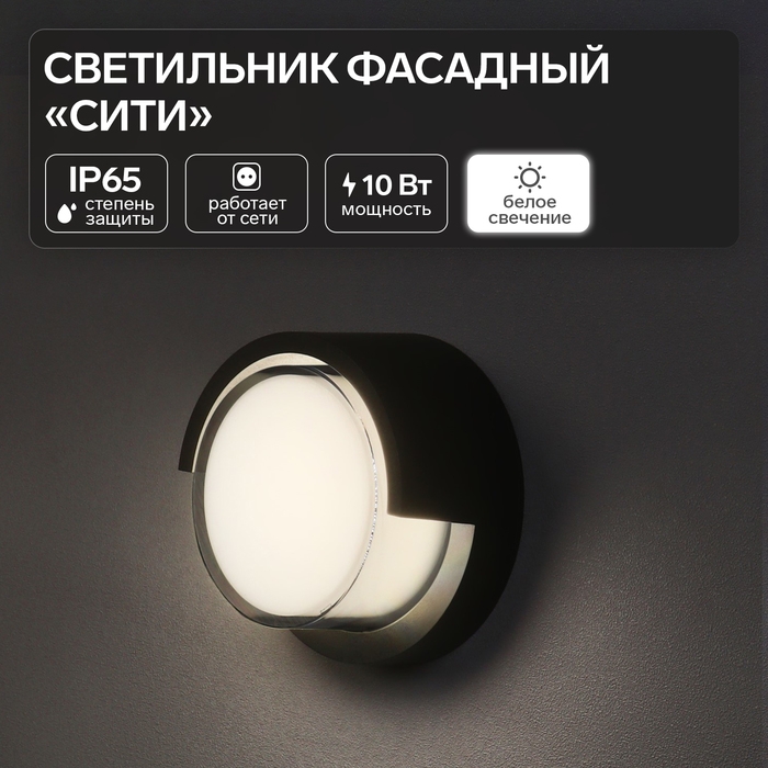 Светильник фасадный &laquo;Сити&raquo;, FSD-047, 10 Вт, 4000К, круг, IP65, 220 В, пластик, черный