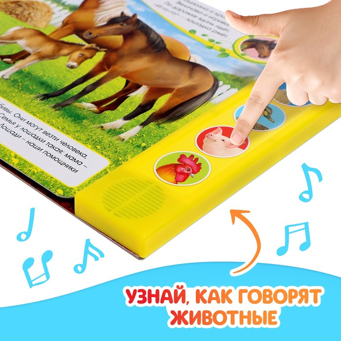 Музыкальная книга «Голоса на ферме», 10 стр. Музыкальная книга «Голоса на ферме», 10 стр.