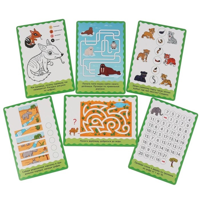 Развивающие карточки &laquo;Животные красной книги&raquo;, 32 карточки