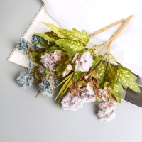 Букет "Пушица гомфрен" 30 см, микс Букет "Пушица гомфрен" 30 см, микс