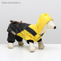 Комбинезон &laquo;Мишка&raquo;, XS (ДС 20 см, ОШ 20 см, ОГ 30 см)