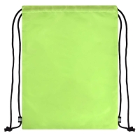 Мешок для обуви 420 х 340 мм, шелкография, Феникс "Борд без границ" зелёный 62502