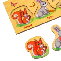 Рамка - вкладыш &laquo;Учим лесных животных&raquo;, 5 элементов