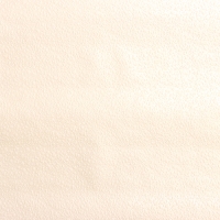 Обои бумажные, Легенда 565-01, 0,53х10,05м Обои бумажные, Легенда 565-01, 0,53х10,05м