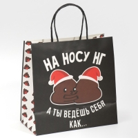 Пакет подарочный новогодний &laquo;На носу НГ&raquo;, 22 х 22 х 11 см, Новый год
