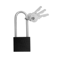 Замок навесной ТУНДРА, основание 30 мм, длинная дужка, 3 ключа, подвес Замок навесной ТУНДРА, основание 30 мм, длинная дужка, 3 ключа, подвес