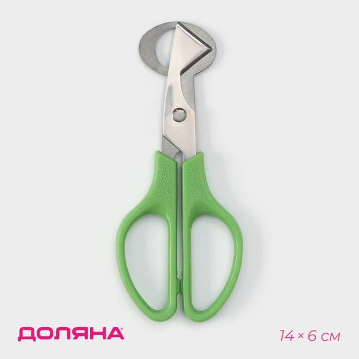 Ножницы для перепелиных яиц Доляна, 14&times;6 см, цвет зелёный