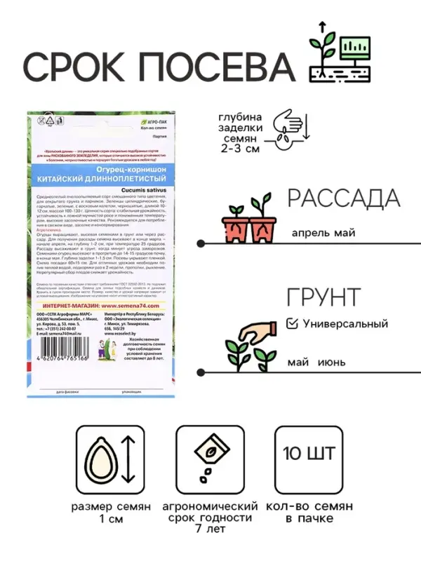 Семена Огурец "Китайский Длинноплетистый", 10 шт