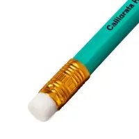 Набор карандашей чернографитных 12 штук, Calligrata Classic, с ластиком, заточенные, пластик, трехгранные, зеленые