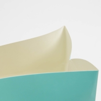 Пакет&mdash;коробка, подарочная упаковка, &laquo;Present&raquo;, 23 х 18 х 11 см