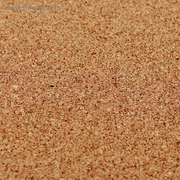 Доска пробковая А2, 45х60 см, Calligrata, в деревянной раме Доска пробковая А2, 45х60 см, Calligrata, в деревянной раме