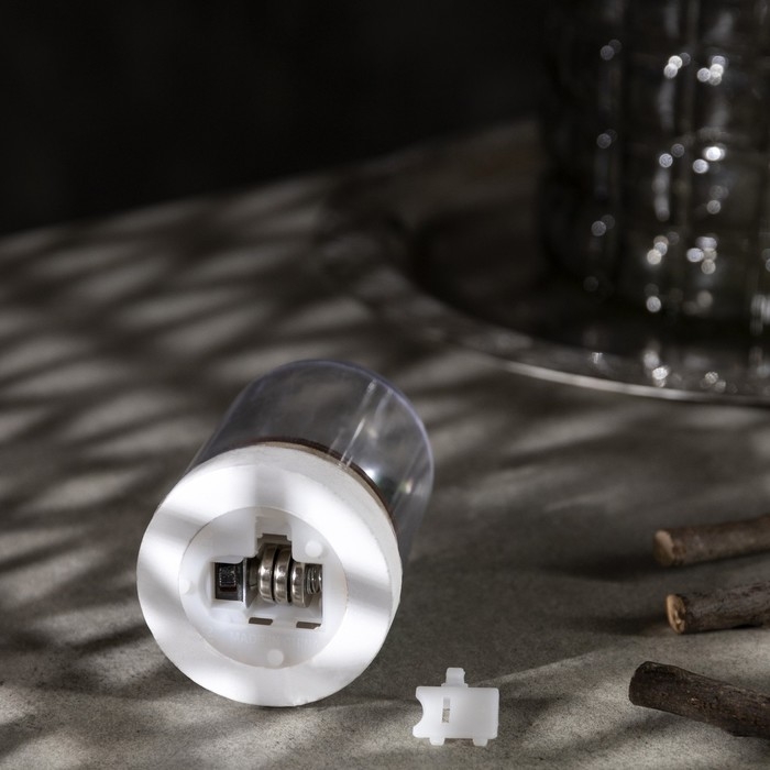 Светодиодная фигура под куполом &laquo;Дед Мороз с мешком&raquo; 6 &times; 9.5 &times; 6 см, дерево, батарейки LR1130х3 (в комплекте), свечение тёплое белое