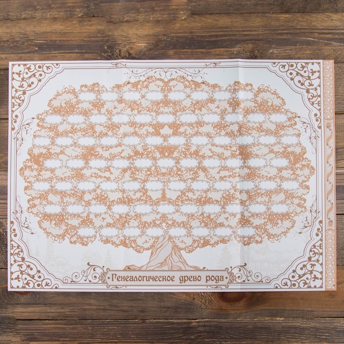 Родословная книга &laquo;Древо&raquo;, 50 листов, 30,5 х 22,5 см.