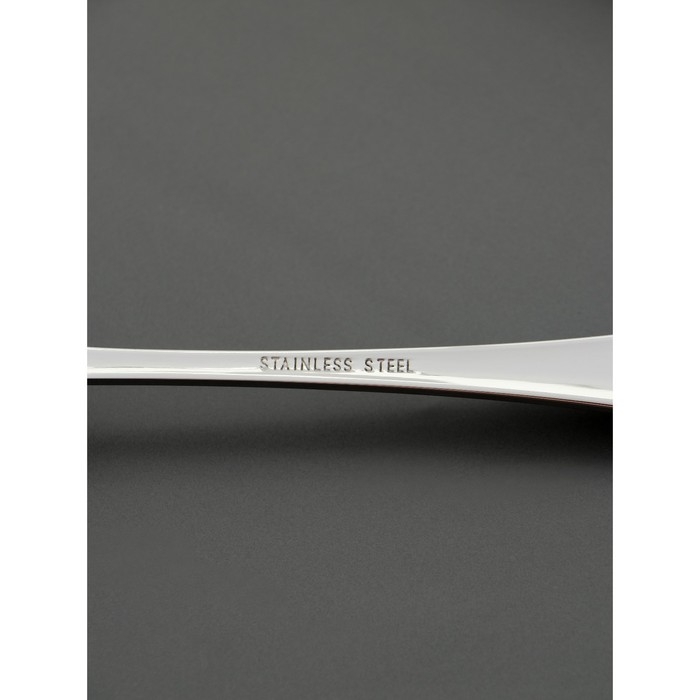 Ложка столовая из нержавеющей стали Magistro Versal, длина 20,5 см, толщина 2,5 мм, цвет серебряный