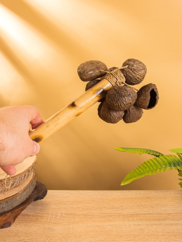 Сувенирный музыкальный инструмент &laquo;Маракас с орехами фруктового дерева&raquo;, 12&times;12&times;23 см