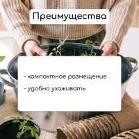 Набор для рассады: стаканы по 320 мл (18 шт.), поддон 51 &times; 26 см, Greengo