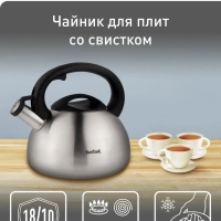 Чайник для плиты C7921024 из нержавеющей стали, со свистком