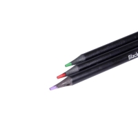 Карандаши 24 цвета BlackWoodColor, пластиковые, трёхгранные, МИКС