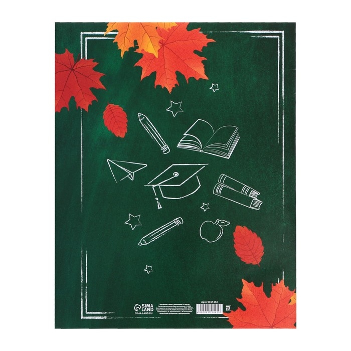 Папка школьная с креплением &laquo;Портфолио школьника&raquo;, 10 листов-разделителей, 21,5 х 30 см.