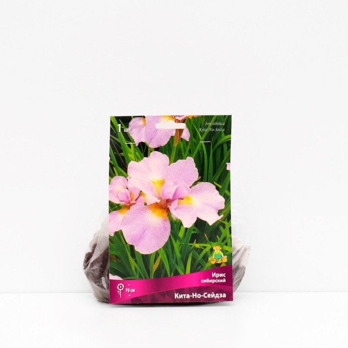 Ирис сибирский "Кита-Но-Сейдза", 1 шт, р-р I, Весна 2025