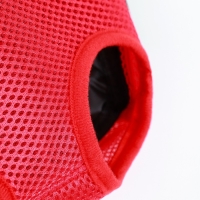 Рюкзак-переноска для кошек и собак "Кенгуру", 35 х 25 х 20 см, размер S, красный